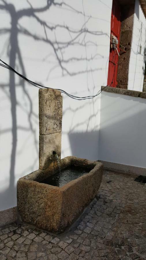 Casa Dos Namorados Vale de Cambra Exteriér fotografie